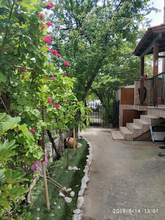 Villa Amia Артемида Екстериор снимка